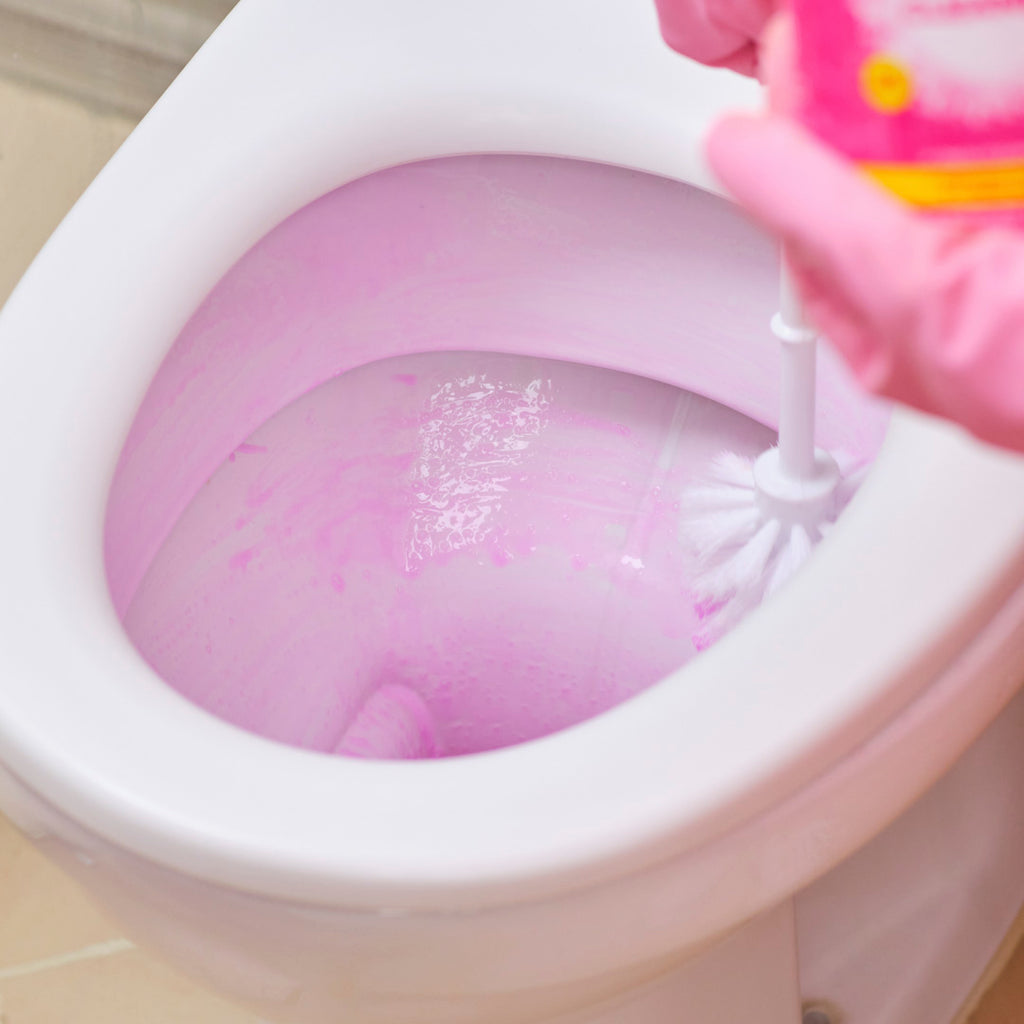 The Pink Stuff Toilet Cleaner TESTED- Can it Remove Bacteria? 