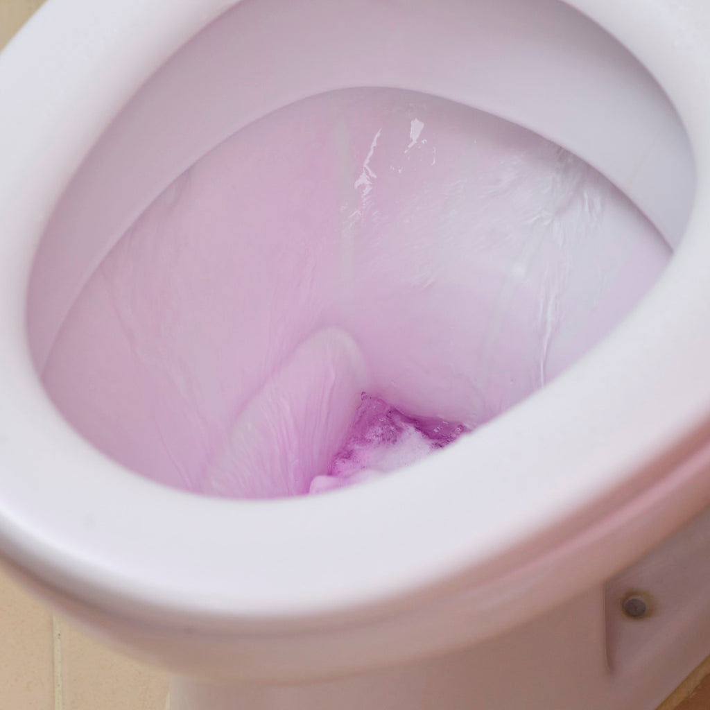The Pink Stuff Toilet Cleaner TESTED- Can it Remove Bacteria